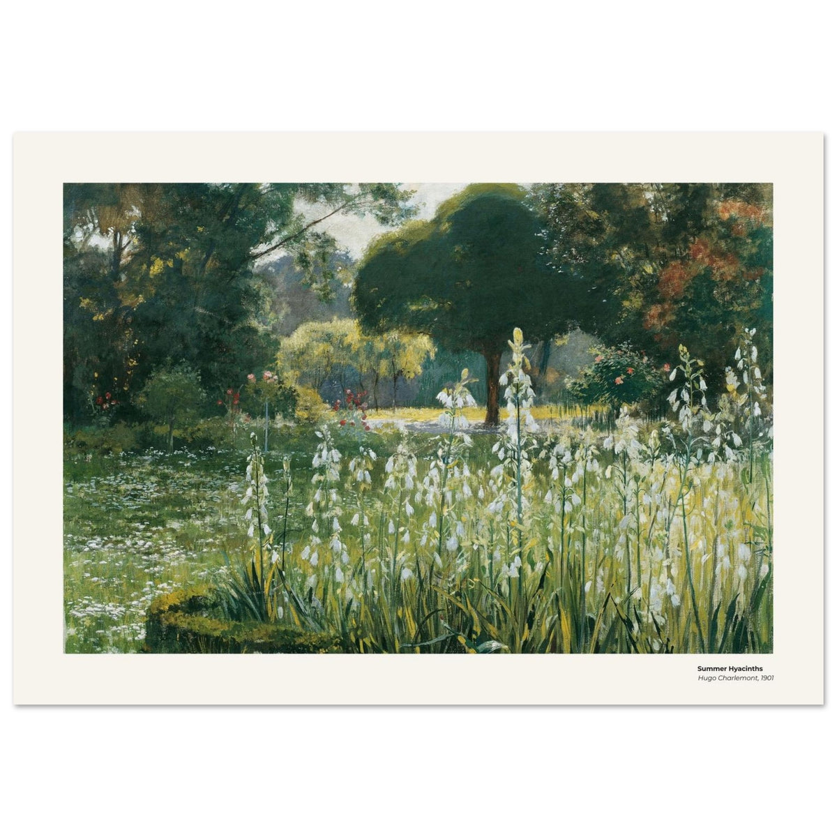 Jacinthes d'été – Hugo Charlemont, reproduction d'art