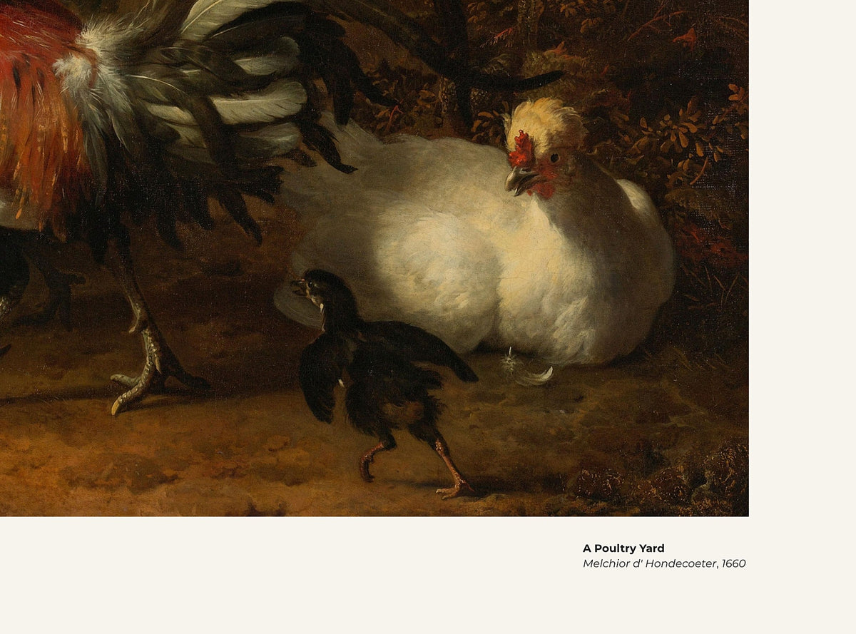 Une basse-cour – Melchior d'Hondecoeter, avec légende titre et artiste