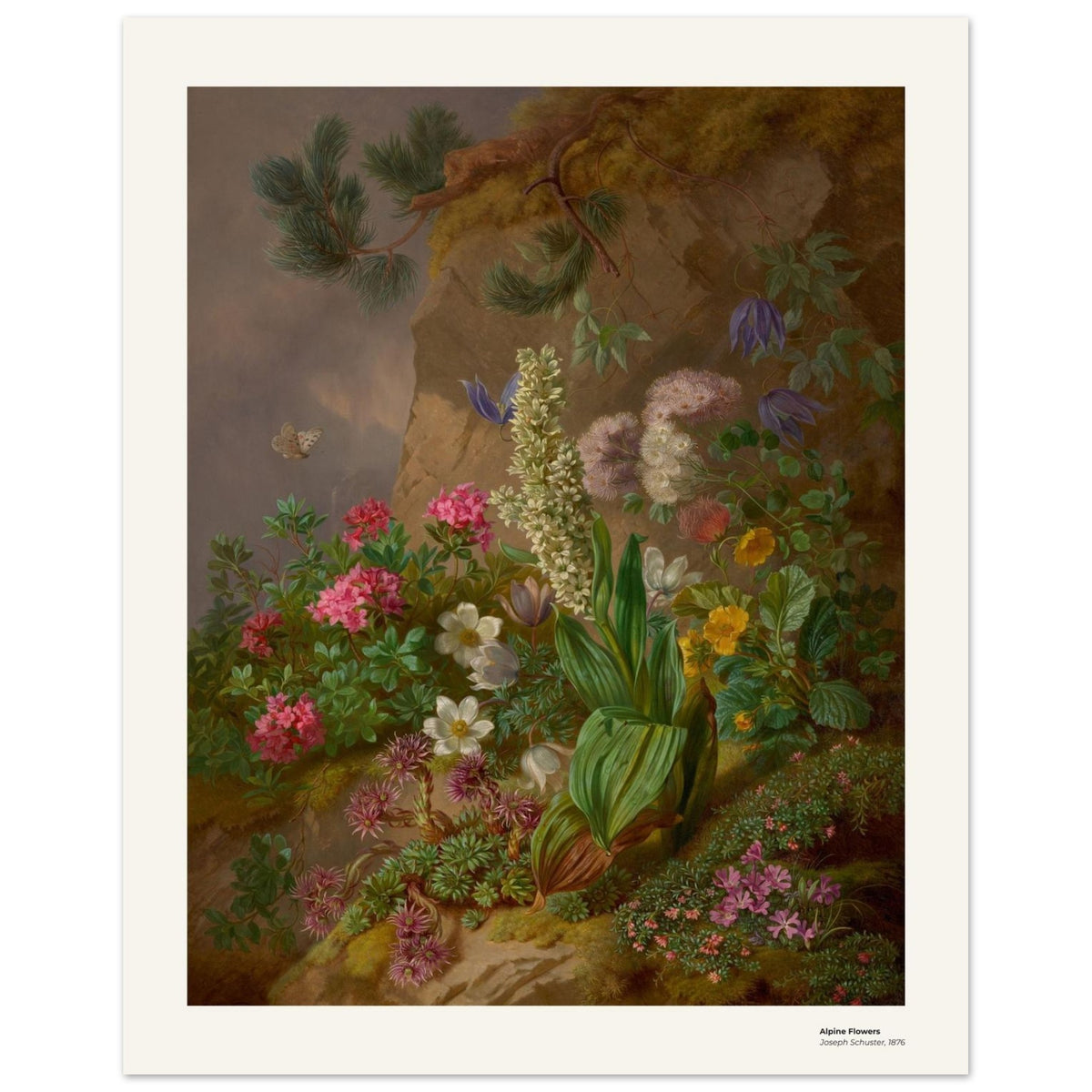 Fleurs alpines – Joseph Schuster, détail de la reproduction