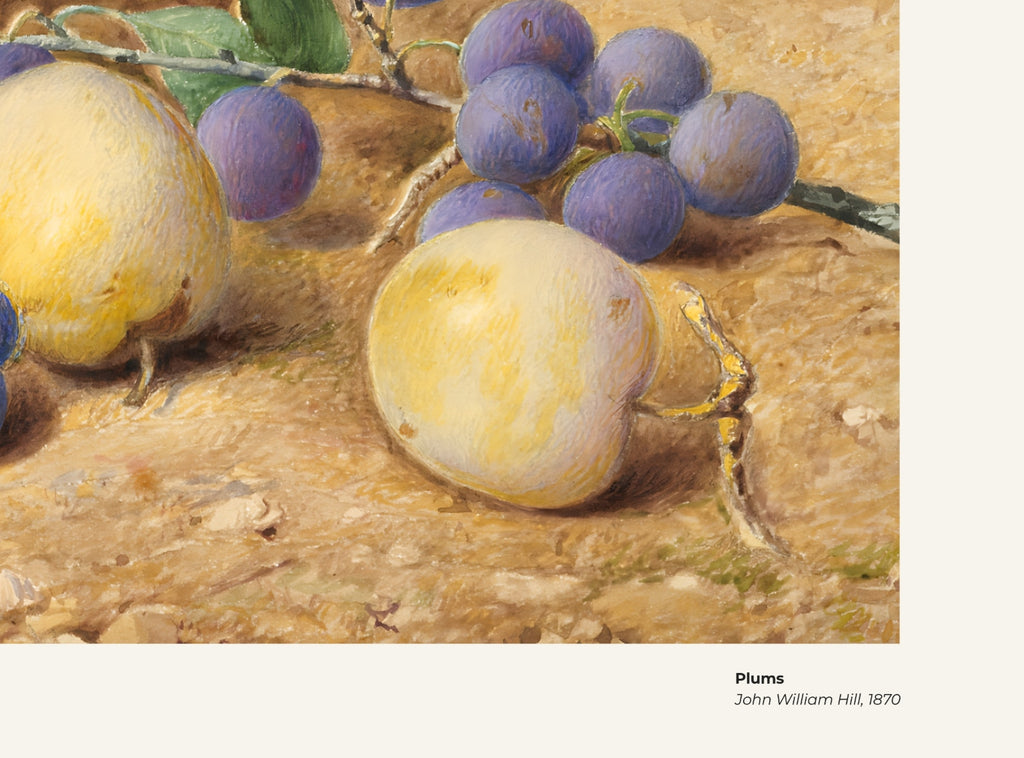Prunes – John William Hill, avec légende titre et artiste