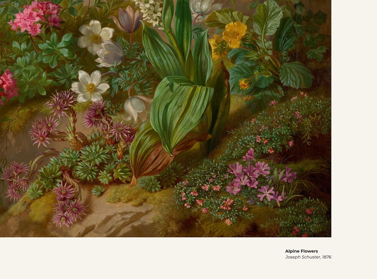 Fleurs alpines – Joseph Schuster, avec légende titre et artiste