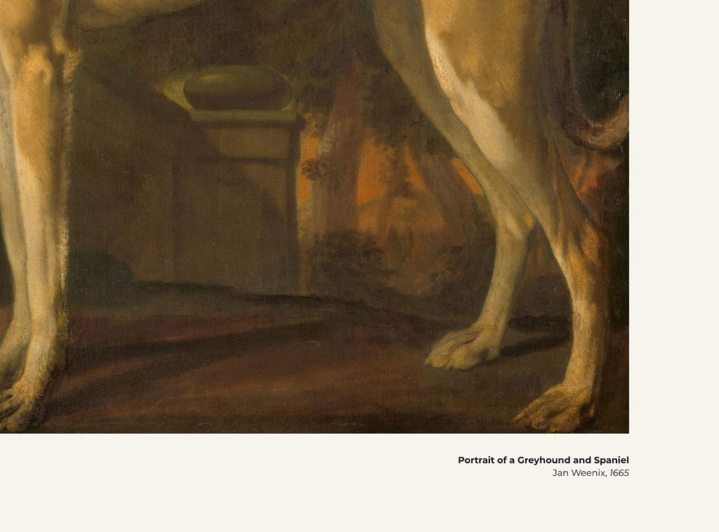 Portrait d'un lévrier et d'un épagneul – Jan Weenix, avec légende titre et artiste