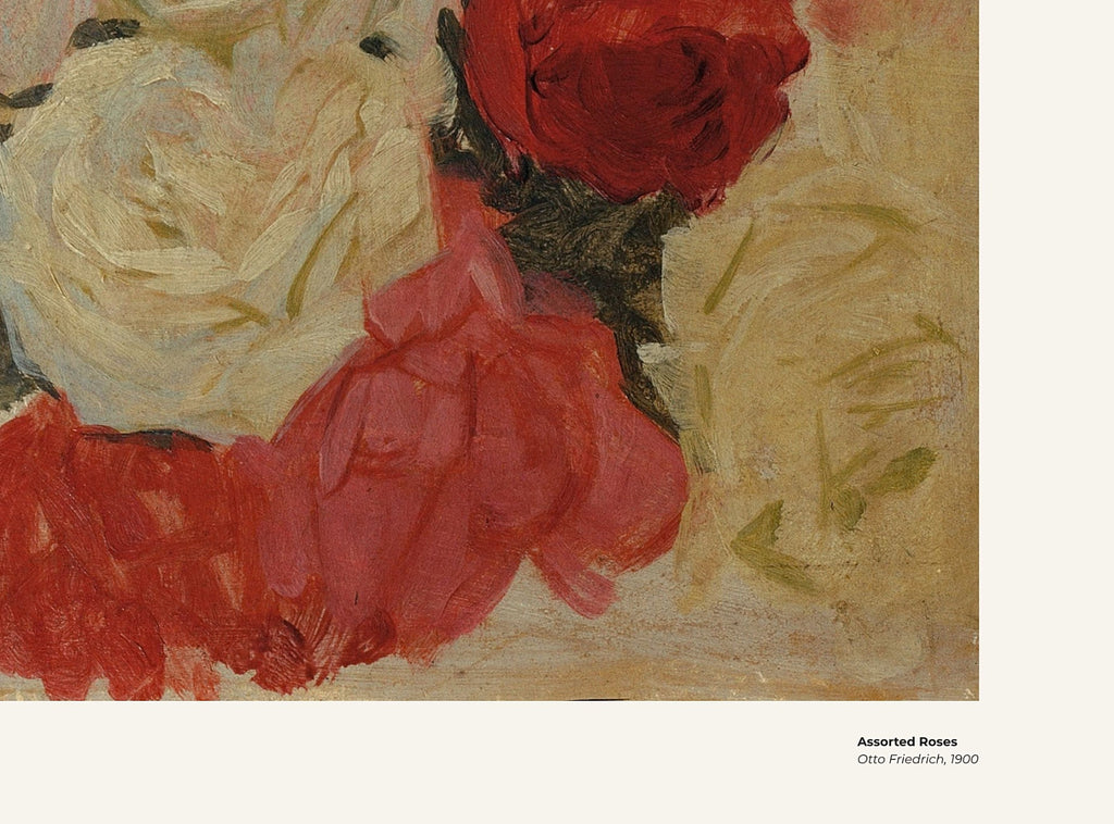 Roses variées – Otto Friedrich, avec légende titre et artiste