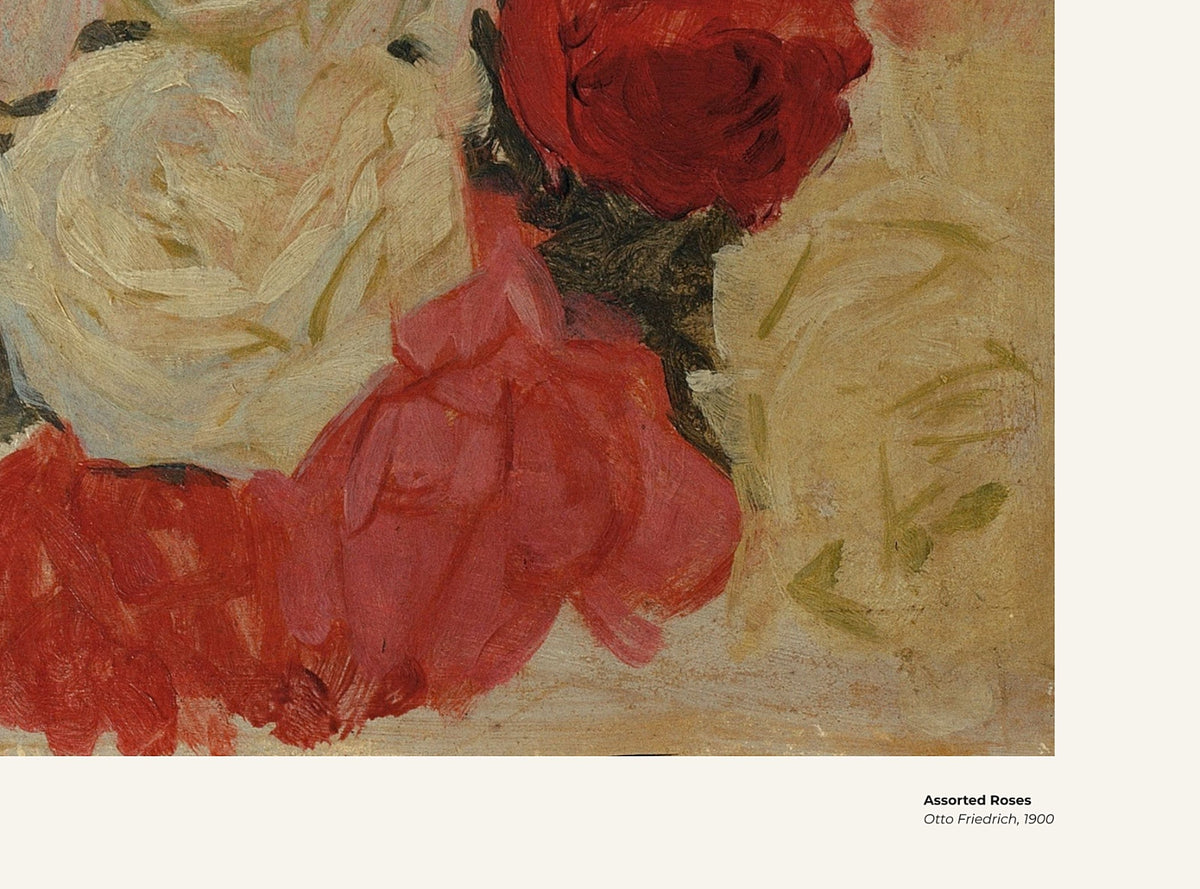 Roses variées – Otto Friedrich, avec légende titre et artiste