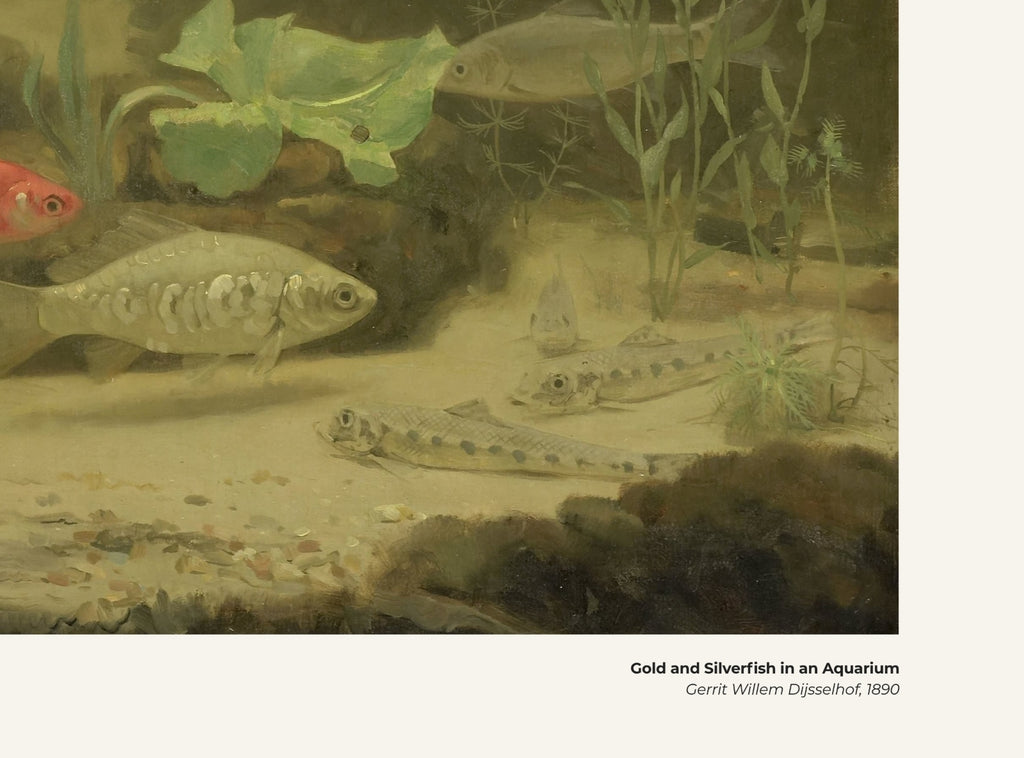 Poissons rouges et argentés dans un aquarium – Gerrit Willem Dijsselhof, avec légende titre et artiste