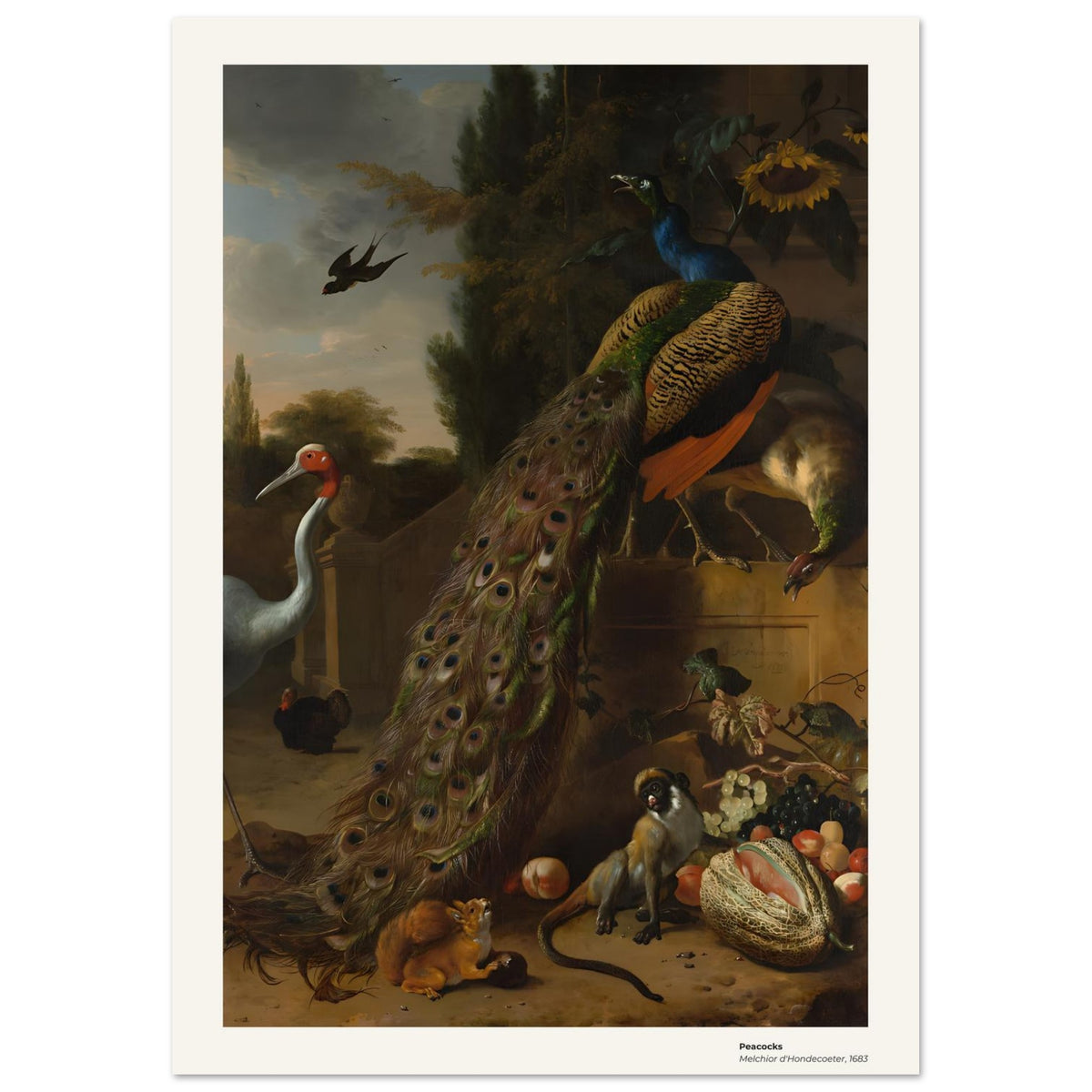 Paon – Melchior d'Hondecoeter, détail de la reproduction