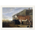 Deux bœufs près d'une ferme – Abraham van Calraet, détail de la reproduction