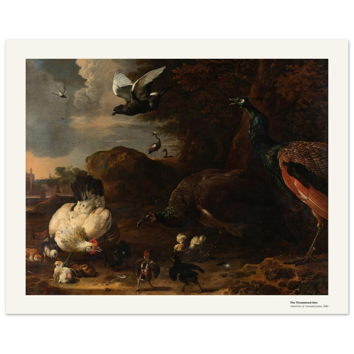 La Poule menacée – Melchior d'Hondecoeter, reproduction d'art