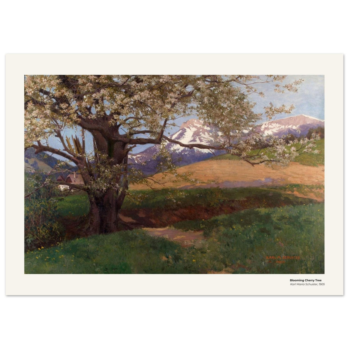 Cerisier en fleurs – Karl Maria Schuster, reproduction d'art