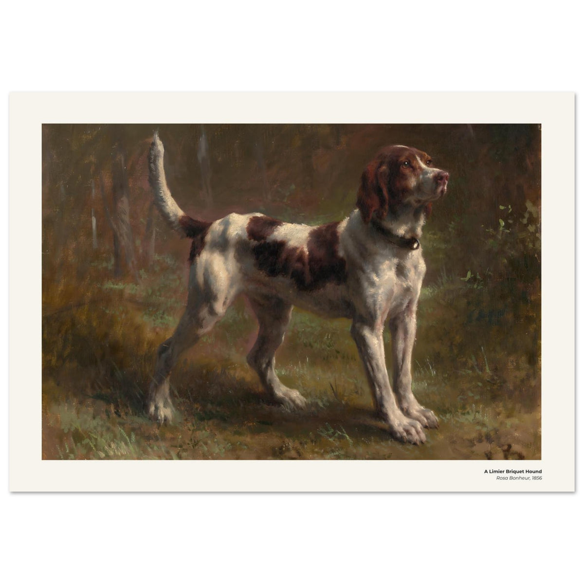 Un limier briquet – Rosa Bonheur, détail de la reproduction