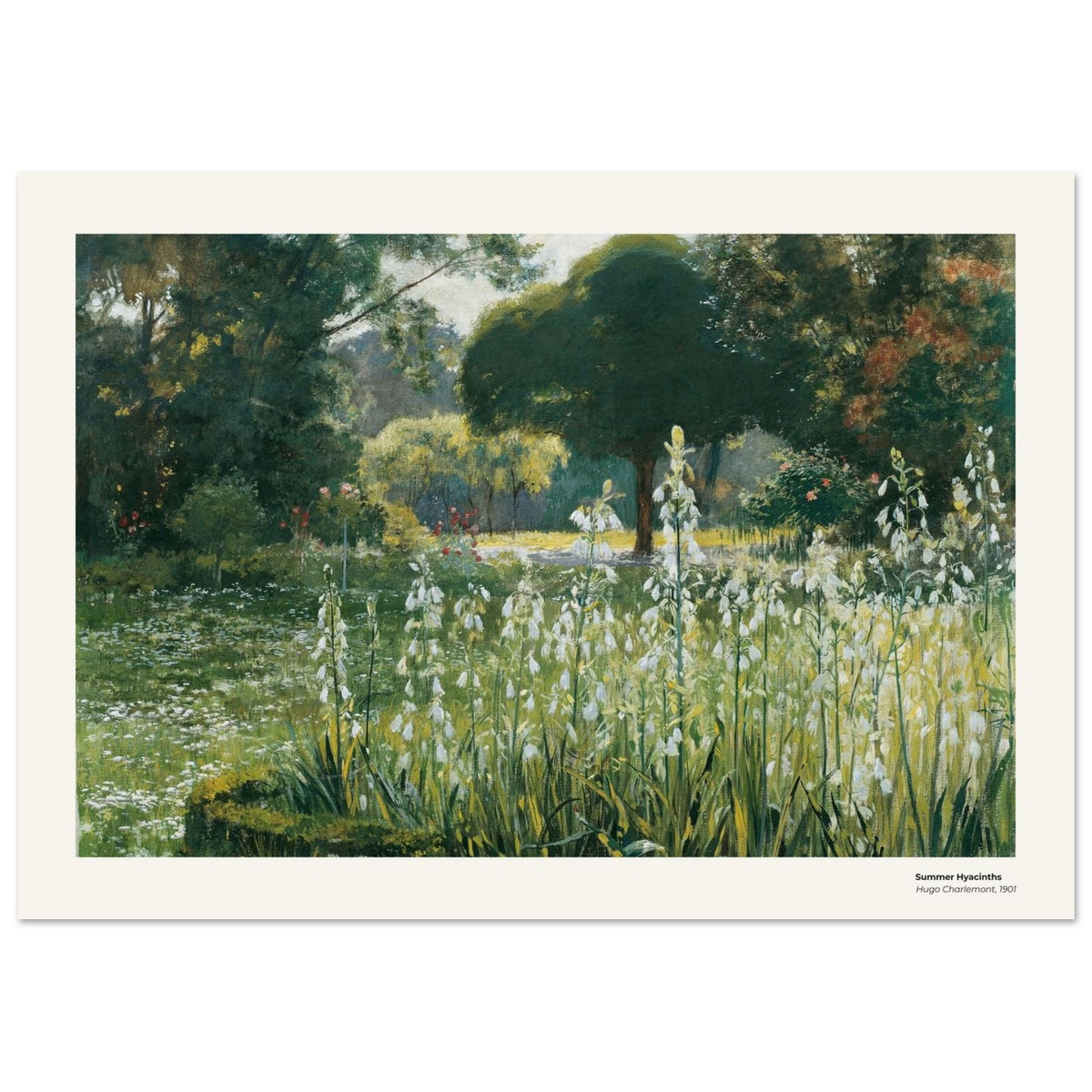 Jacinthes d'été – Hugo Charlemont, reproduction d'art