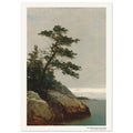 Le vieux pin, Darien, Connecticut – John Frederick Kensett, détail de la reproduction