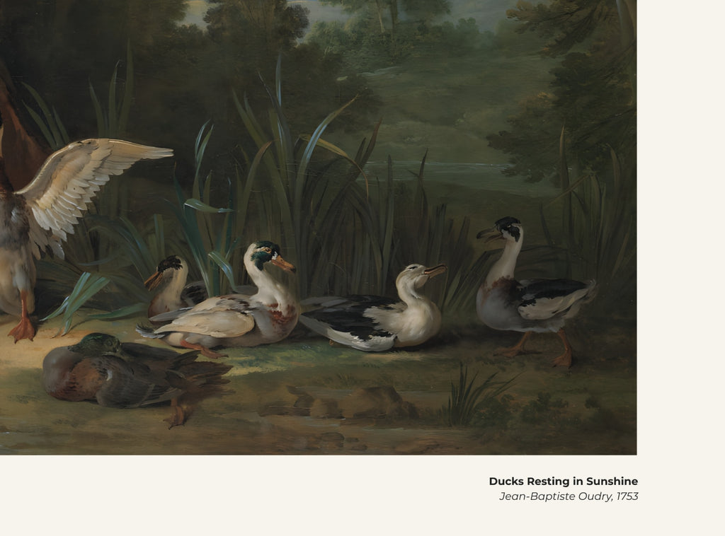 Canards se reposant au soleil – Jean-Baptiste Oudry, avec légende titre et artiste