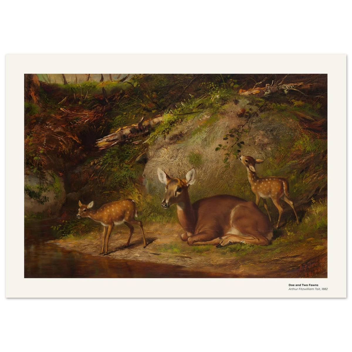 Une biche et deux faons – Arthur Fitzwilliam Tait, détail de la reproduction