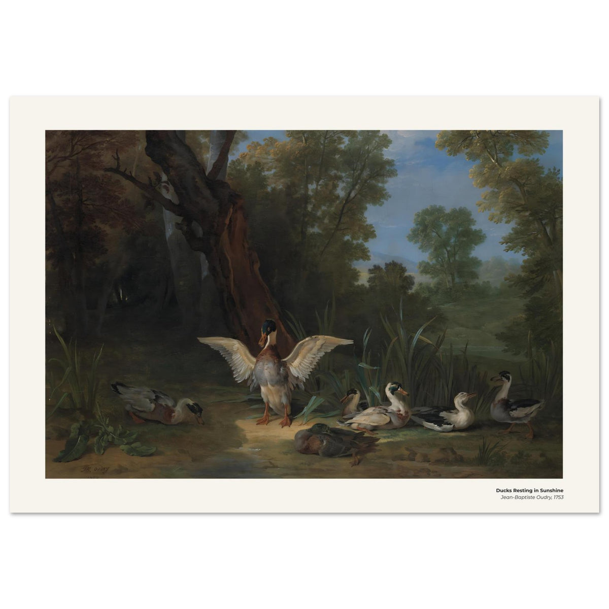 Canards se reposant au soleil – Jean-Baptiste Oudry, reproduction d'art
