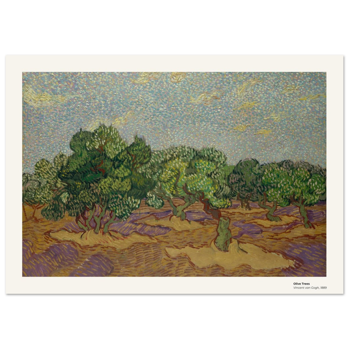 Oliviers – Vincent van Gogh, détail de la reproduction
