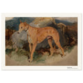 Un deerhound – Edwin Landseer, détail de la reproduction