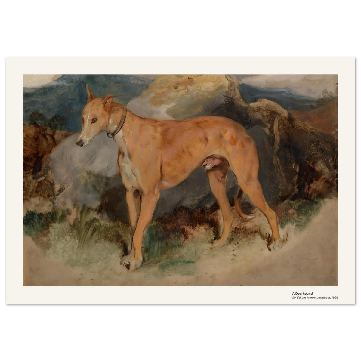 Un deerhound – Edwin Landseer, détail de la reproduction