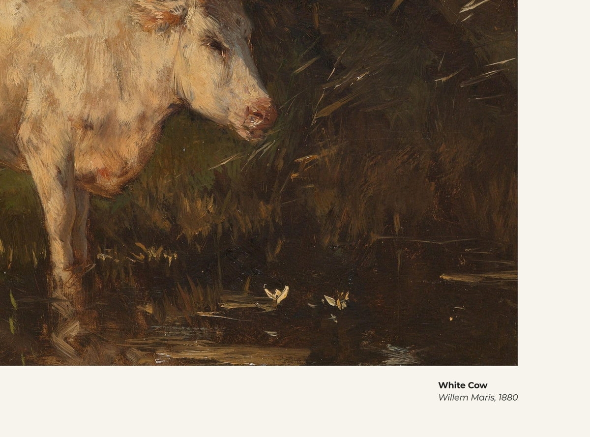 Vache blanche – Willem Maris, avec légende titre et artiste