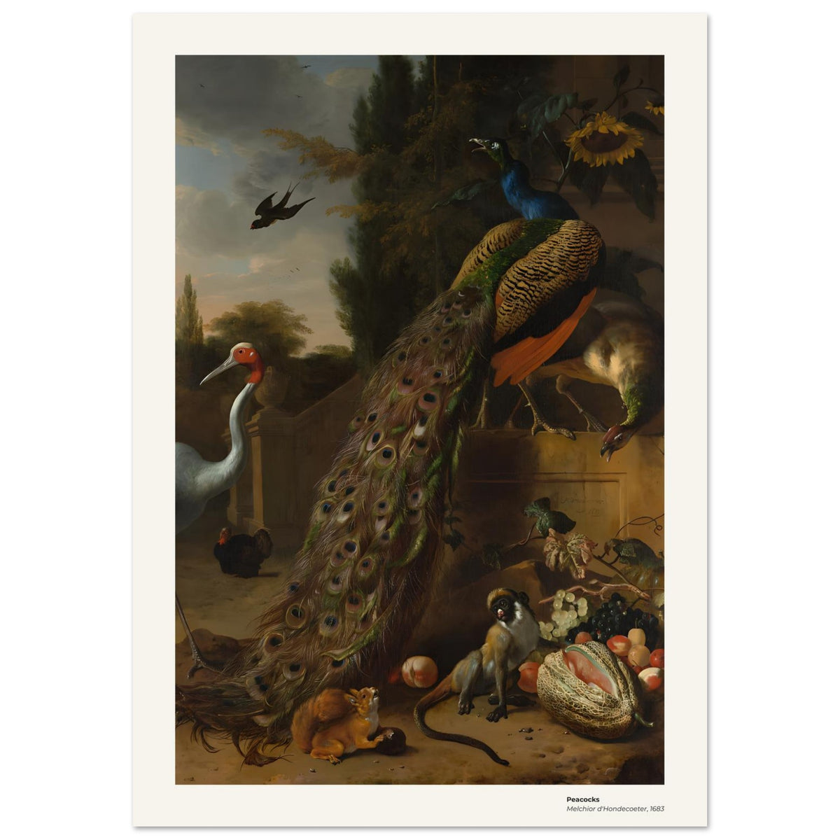 Paon – Melchior d'Hondecoeter, reproduction d'art