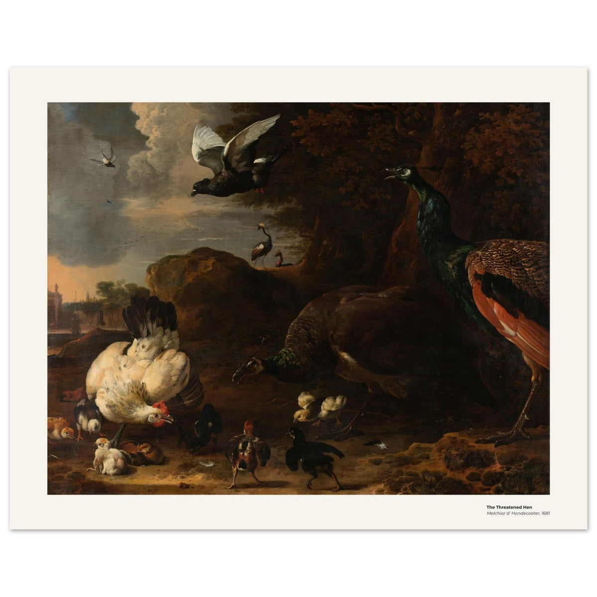 La Poule menacée – Melchior d'Hondecoeter, détail de la reproduction
