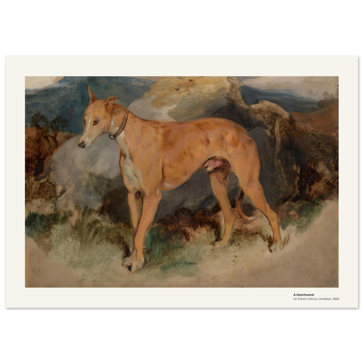Un deerhound – Edwin Landseer, détail de la reproduction