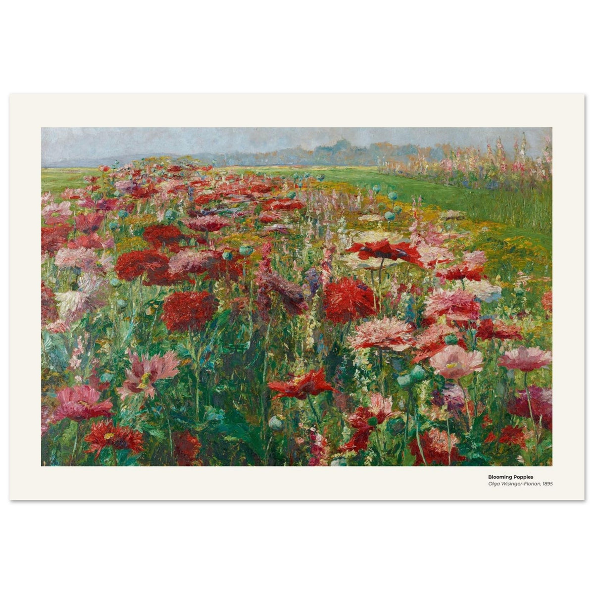 Pavots en fleurs – Olga Wisinger-Florian, reproduction d'art