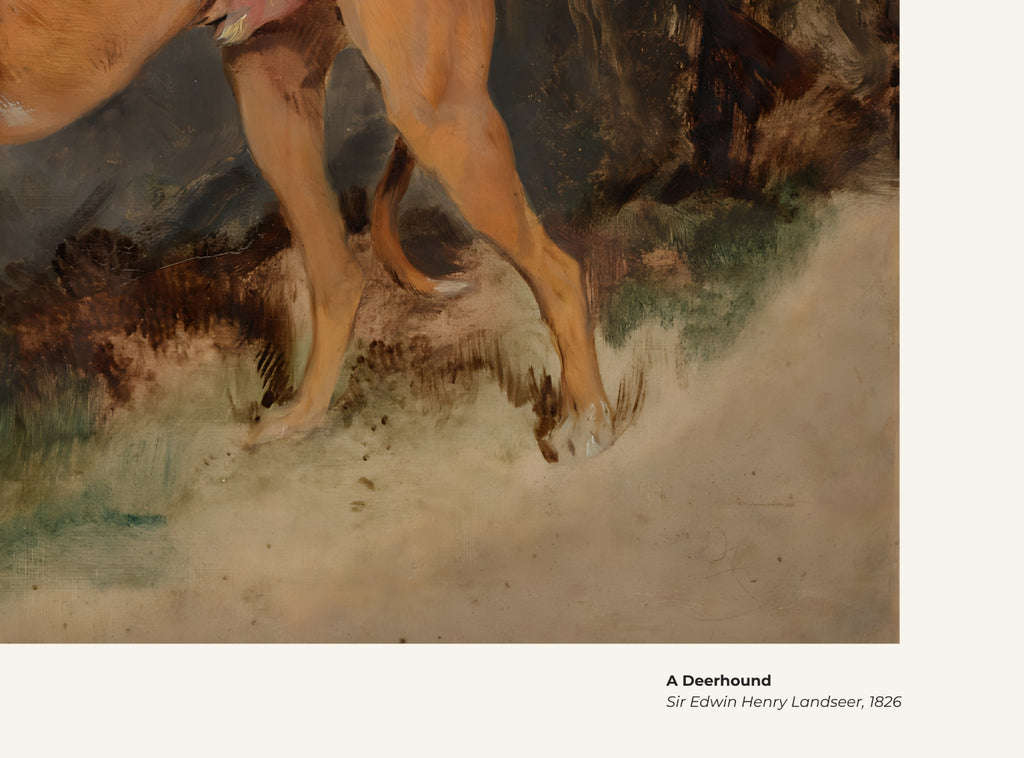 Un deerhound – Edwin Landseer, avec légende titre et artiste