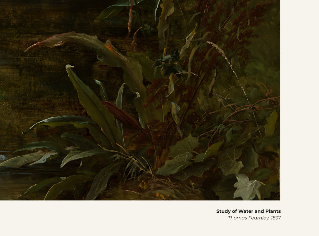 Étude de l'eau et des plantes – Thomas Fearnley, avec légende titre et artiste
