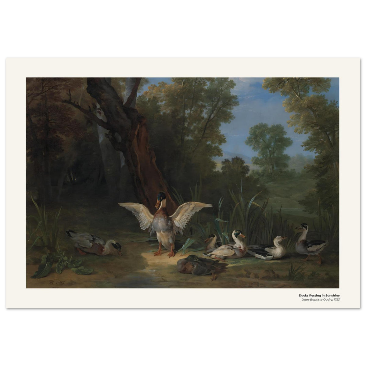 Canards se reposant au soleil – Jean-Baptiste Oudry, détail de la reproduction