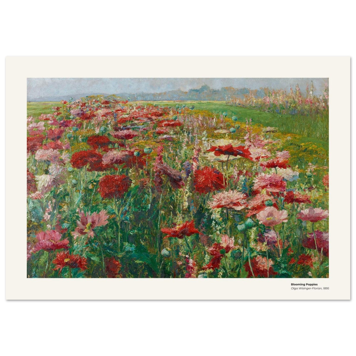 Pavots en fleurs – Olga Wisinger-Florian, reproduction d'art