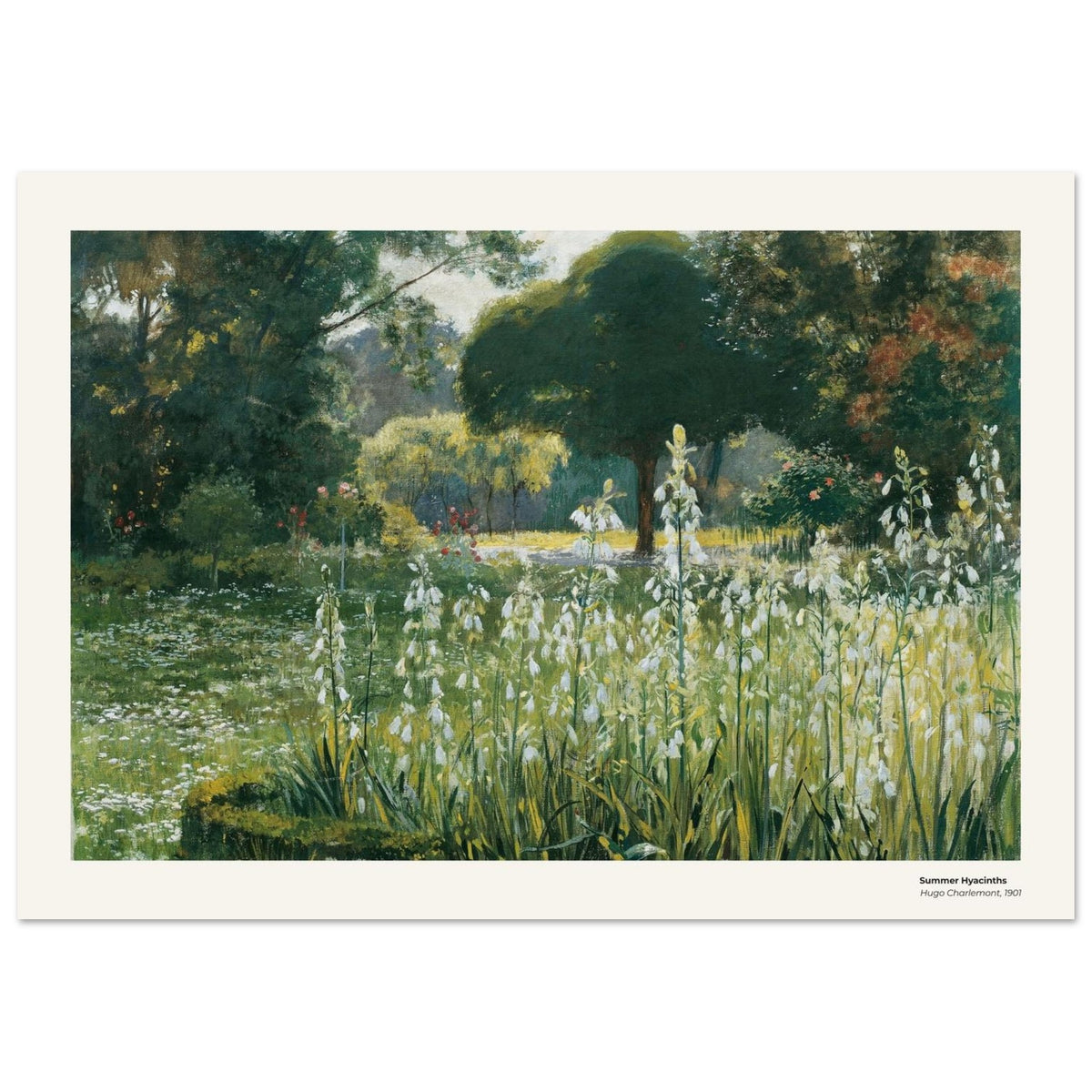 Jacinthes d'été – Hugo Charlemont, reproduction d'art