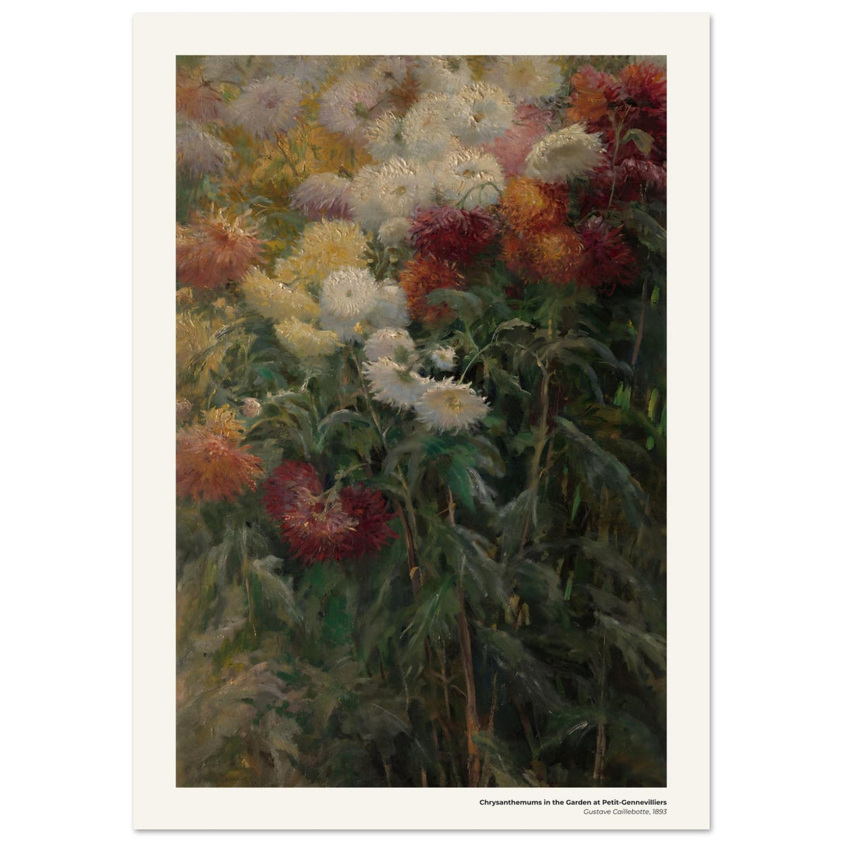 Chrysanthèmes dans le jardin de Petit-Gennevilliers – Gustave Caillebotte, reproduction d'art