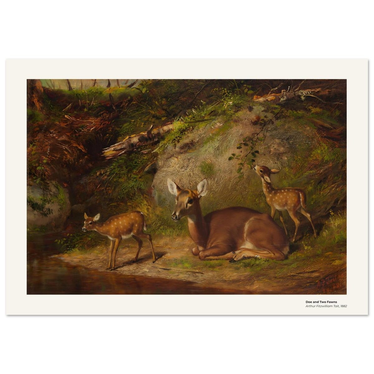 Une biche et deux faons – Arthur Fitzwilliam Tait, détail de la reproduction