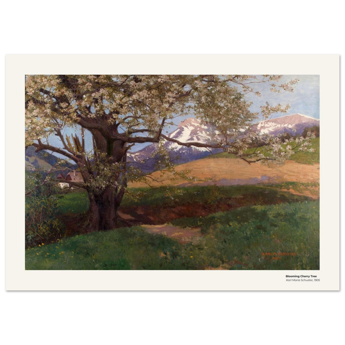 Cerisier en fleurs – Karl Maria Schuster, reproduction d'art
