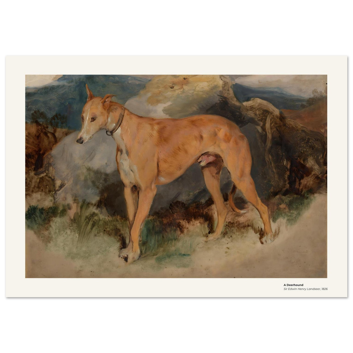 Un deerhound – Edwin Landseer, détail de la reproduction