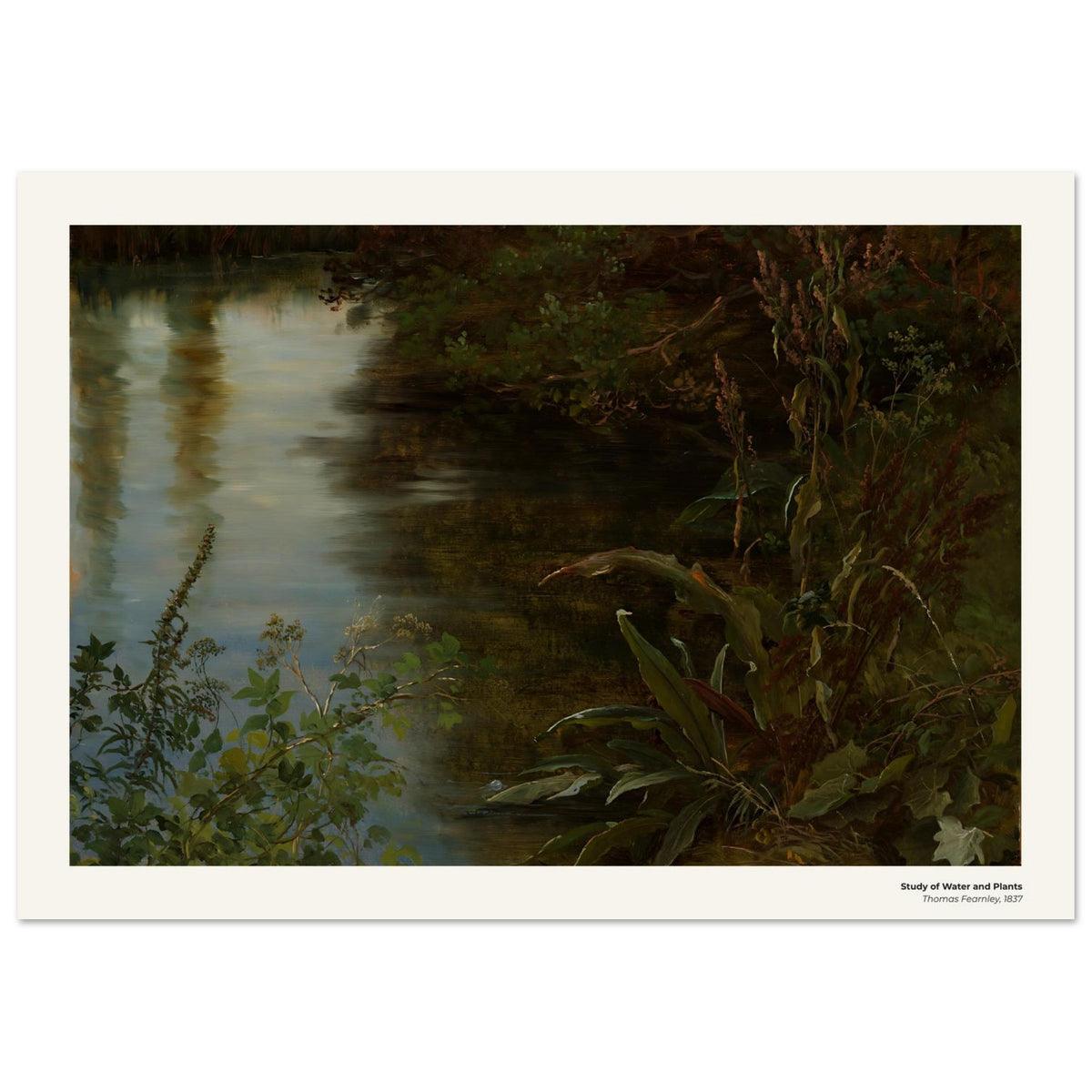 Étude de l'eau et des plantes – Thomas Fearnley, détail de la reproduction