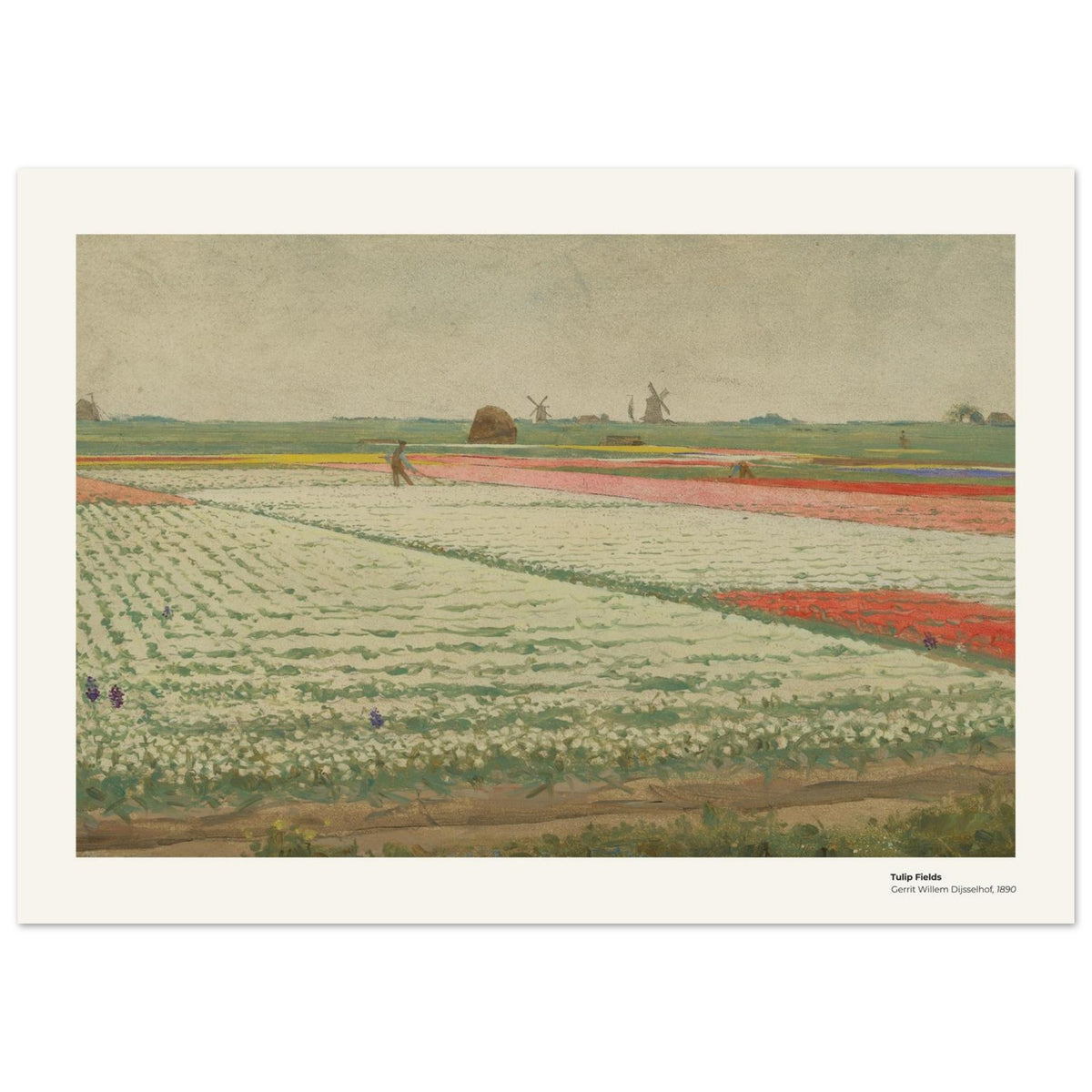 Champs de tulipes – Gerrit Willem Dijsselhof, détail de la reproduction