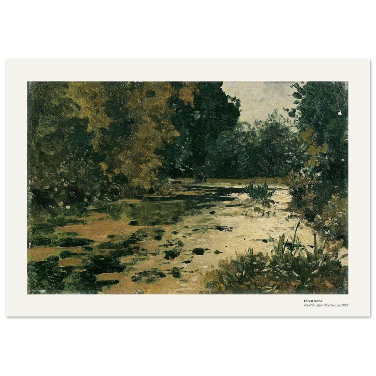 Étang en forêt – Adolf Gustav Ditscheiner, reproduction d'art