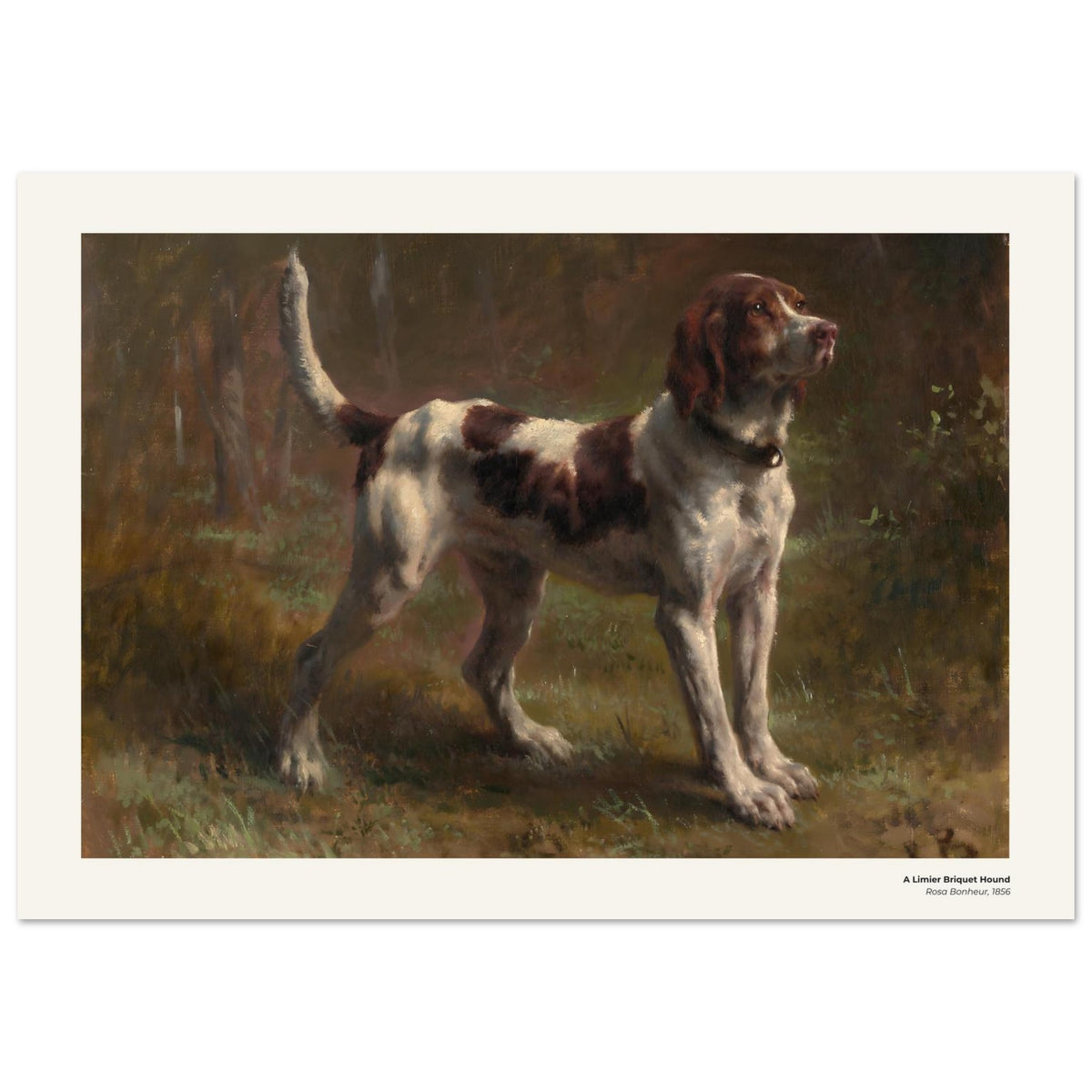Un limier briquet – Rosa Bonheur, reproduction d'art