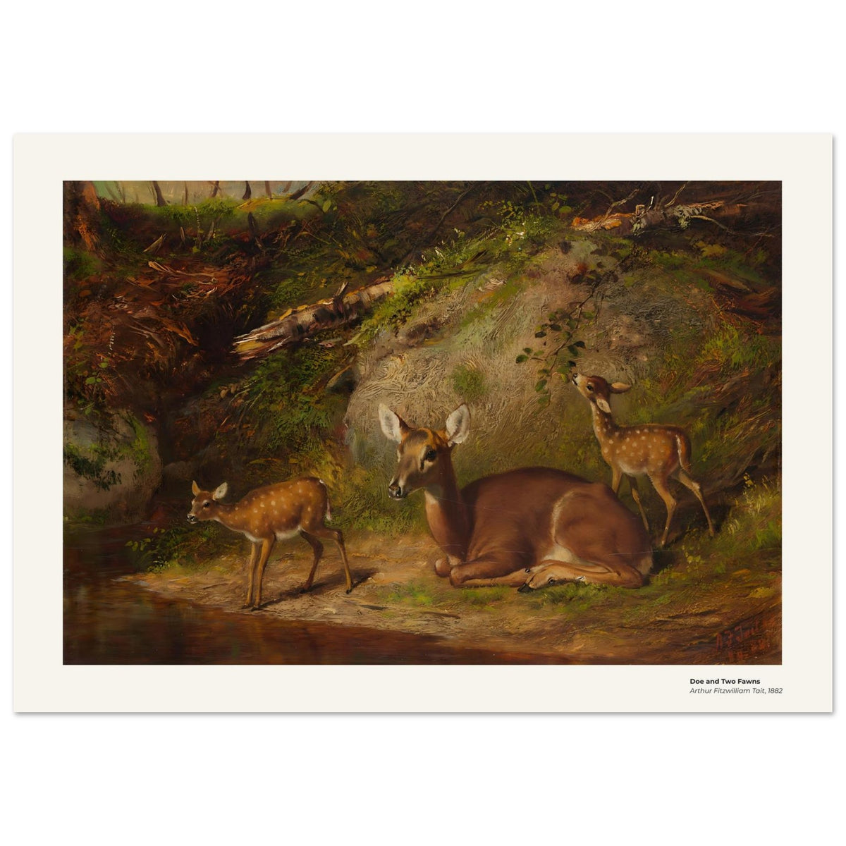 Une biche et deux faons – Arthur Fitzwilliam Tait, reproduction d'art