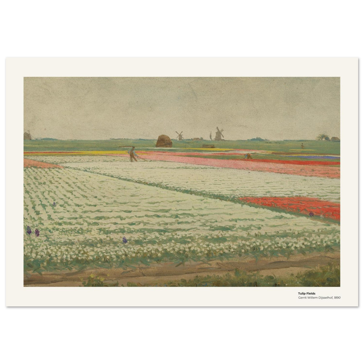 Champs de tulipes – Gerrit Willem Dijsselhof, détail de la reproduction