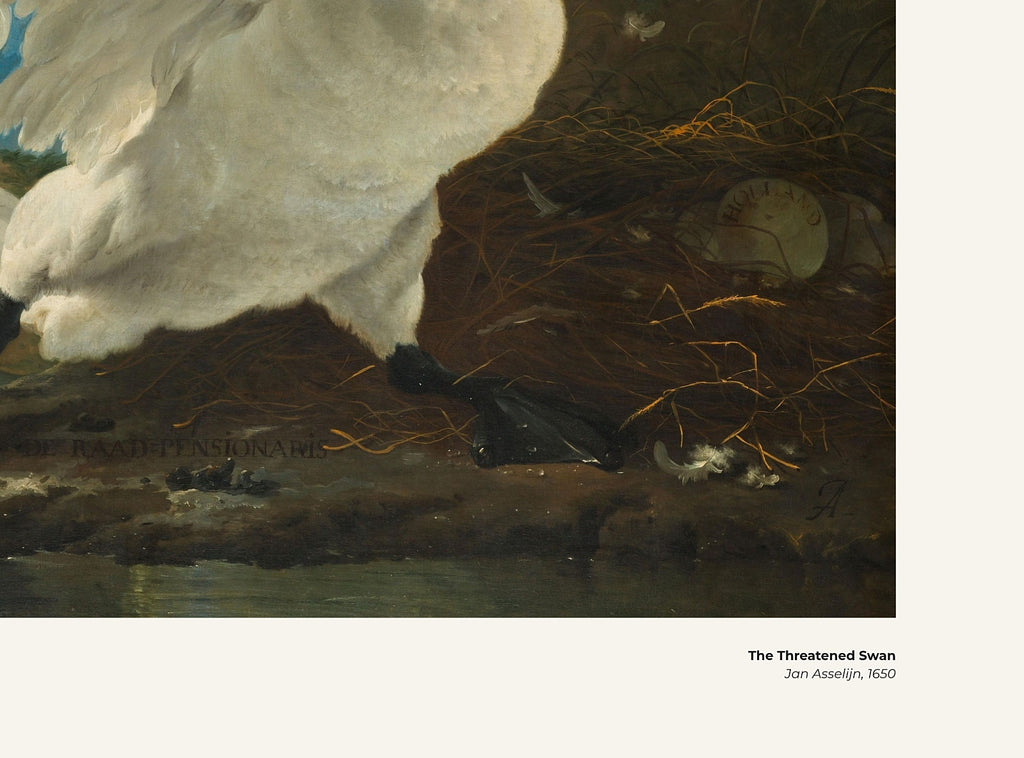 Le Cygne menacé – Jan Asselijn, avec légende titre et artiste