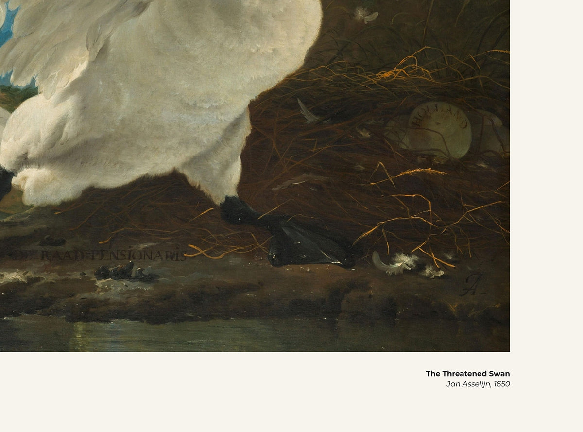 Le Cygne menacé – Jan Asselijn, avec légende titre et artiste