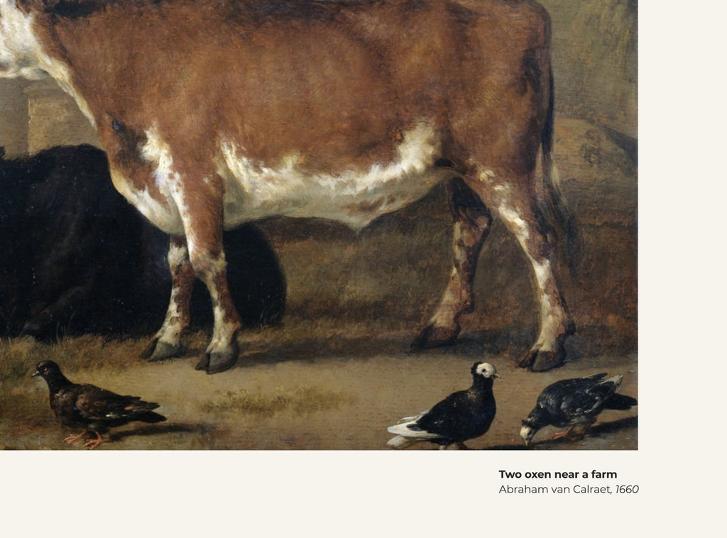 Deux bœufs près d'une ferme – Abraham van Calraet, avec légende titre et artiste