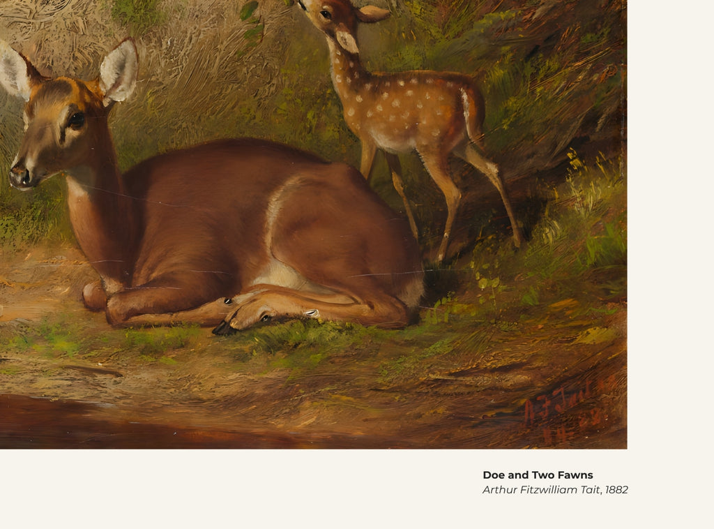 Une biche et deux faons – Arthur Fitzwilliam Tait, avec légende titre et artiste