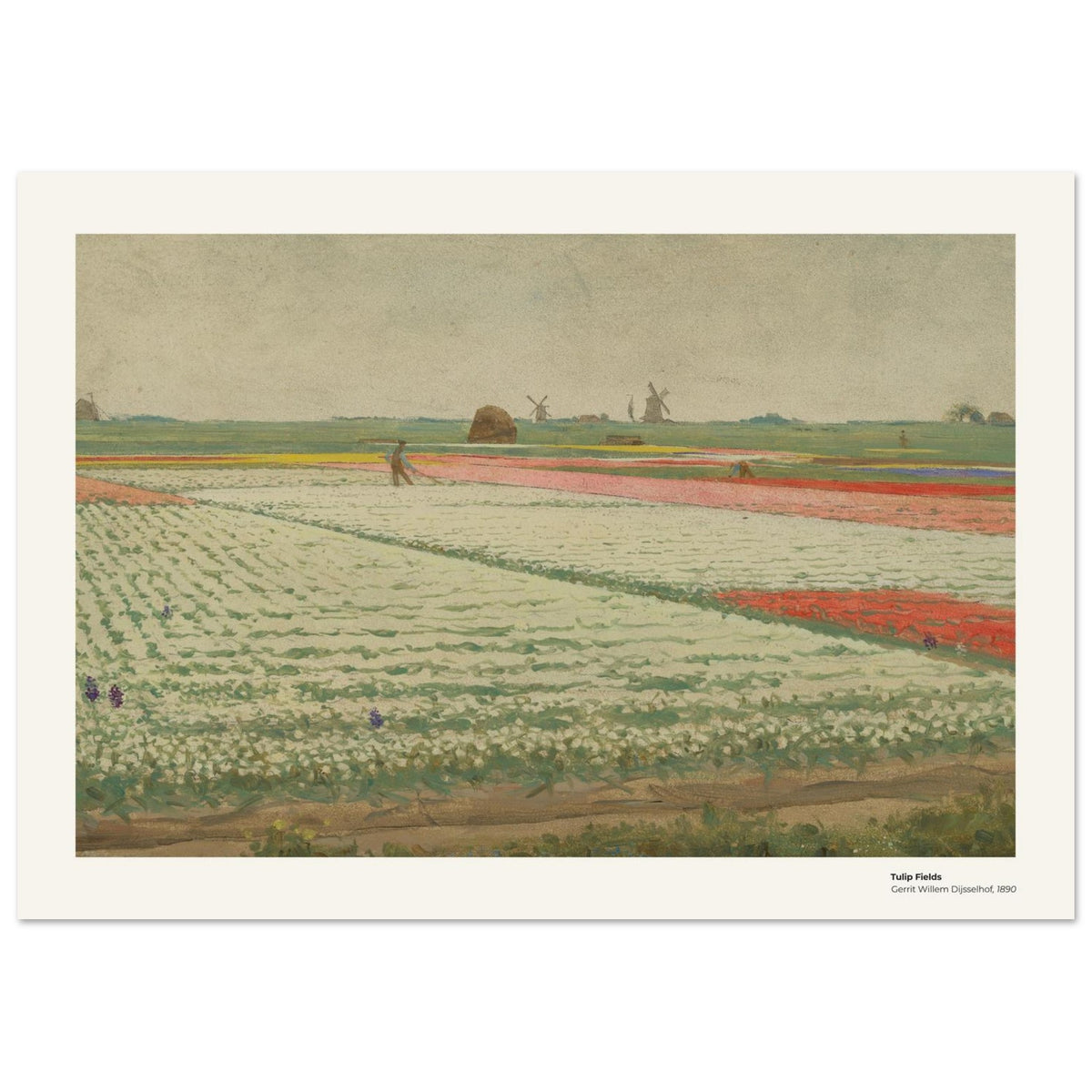 Champs de tulipes – Gerrit Willem Dijsselhof, détail de la reproduction