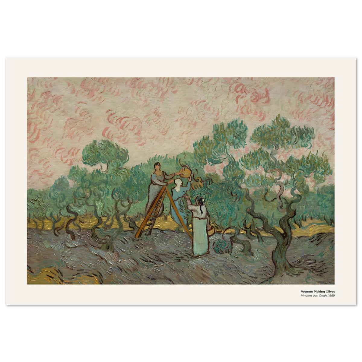 Femmes cueillant des olives – Vincent van Gogh, reproduction d'art