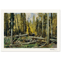 Forêt de Bohême – Ferdinand Engelmüller, reproduction d'art