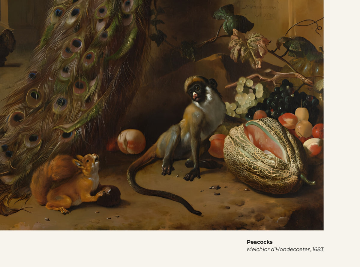Paon – Melchior d'Hondecoeter, avec légende titre et artiste